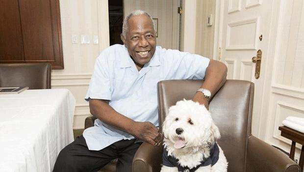 Hank Aaron and Hank the Dog :: @Brewers/Twitter
